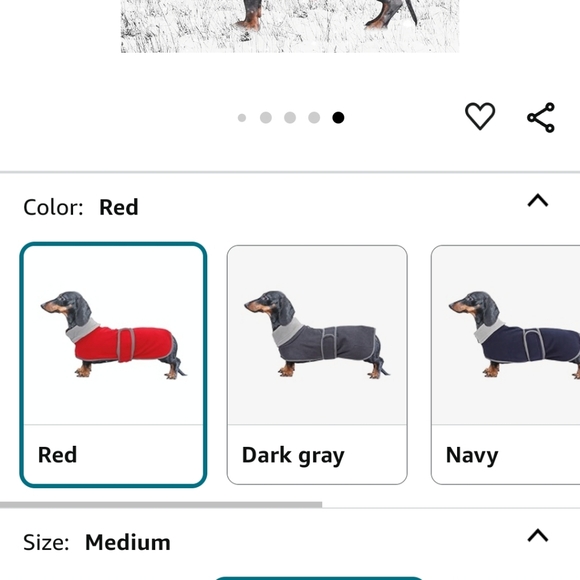 Dog coat dashund - Picture 7 of 7